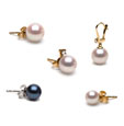 Akoya pearl earrings