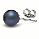 Freshwater Pearl Stud Earrings black 7.5-8 mm AAA