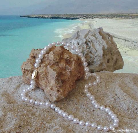 Collier Perles d'Akoya 45 cm 6.5-7 mm AA+ blanches