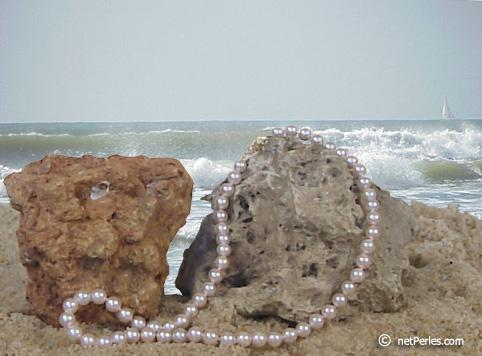 Collier Perles d'Akoya 45 cm 7-7.5 mm AA+ blanches