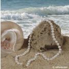 Collier de perles d'eau douce  45 cm  7.5-8 mm , blanches, AA+
