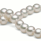 Collier Perles d'Akoya 45 cm 8-8.5 mm AA+ blanches